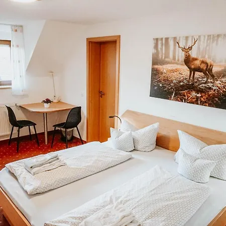 Hotel Hirsch 3*