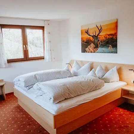 Hotel Hirsch Wangen im Allgäu