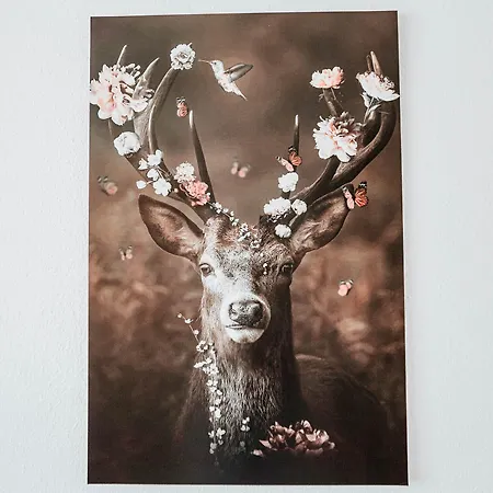 Hirsch 3*