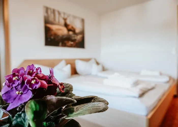 Hirsch Wangen im Allgäu