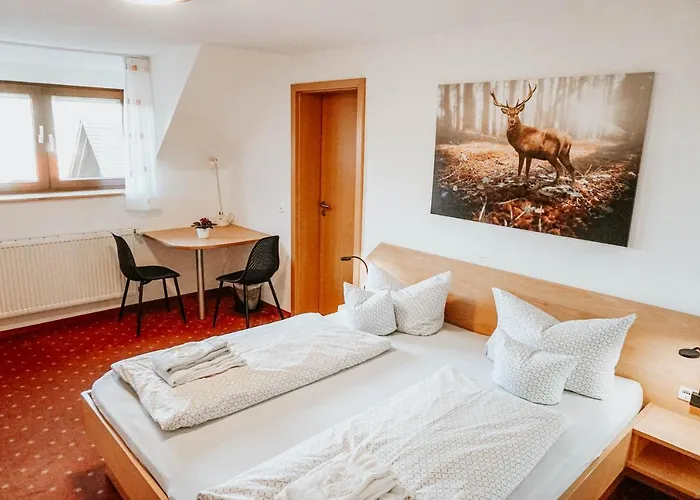 Ξενοδοχείο Hirsch 3*