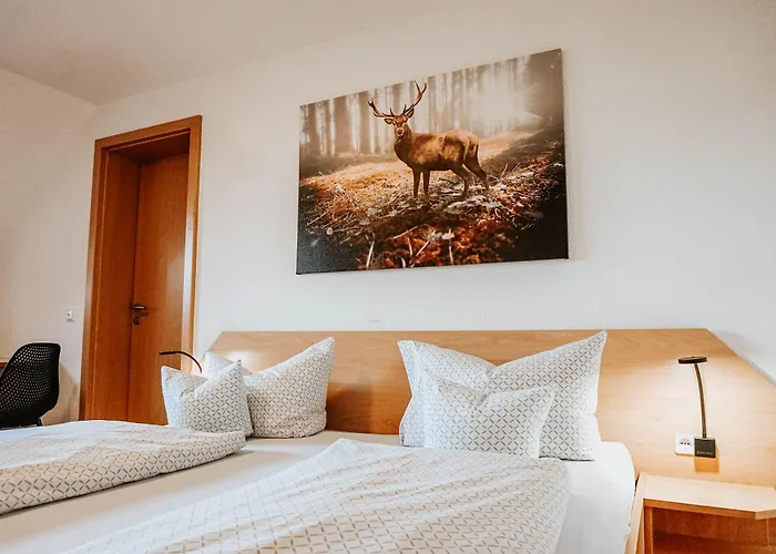 Ξενοδοχείο Hirsch Wangen im Allgäu