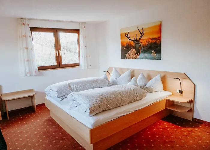 Ξενοδοχείο Hirsch Wangen im Allgäu